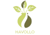 Havollo